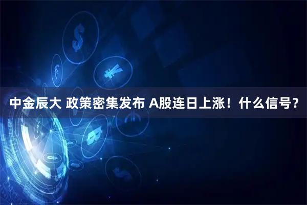 中金辰大 政策密集发布 A股连日上涨！什么信号？