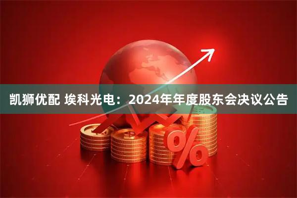 凯狮优配 埃科光电：2024年年度股东会决议公告