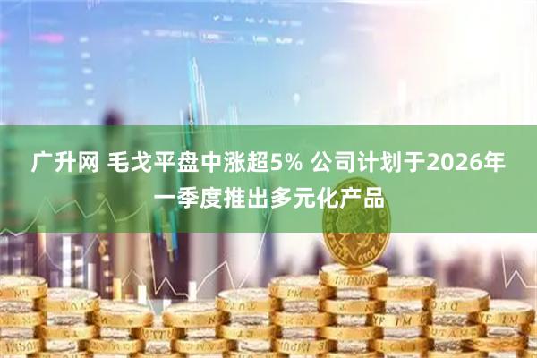 广升网 毛戈平盘中涨超5% 公司计划于2026年一季度推出多元化产品